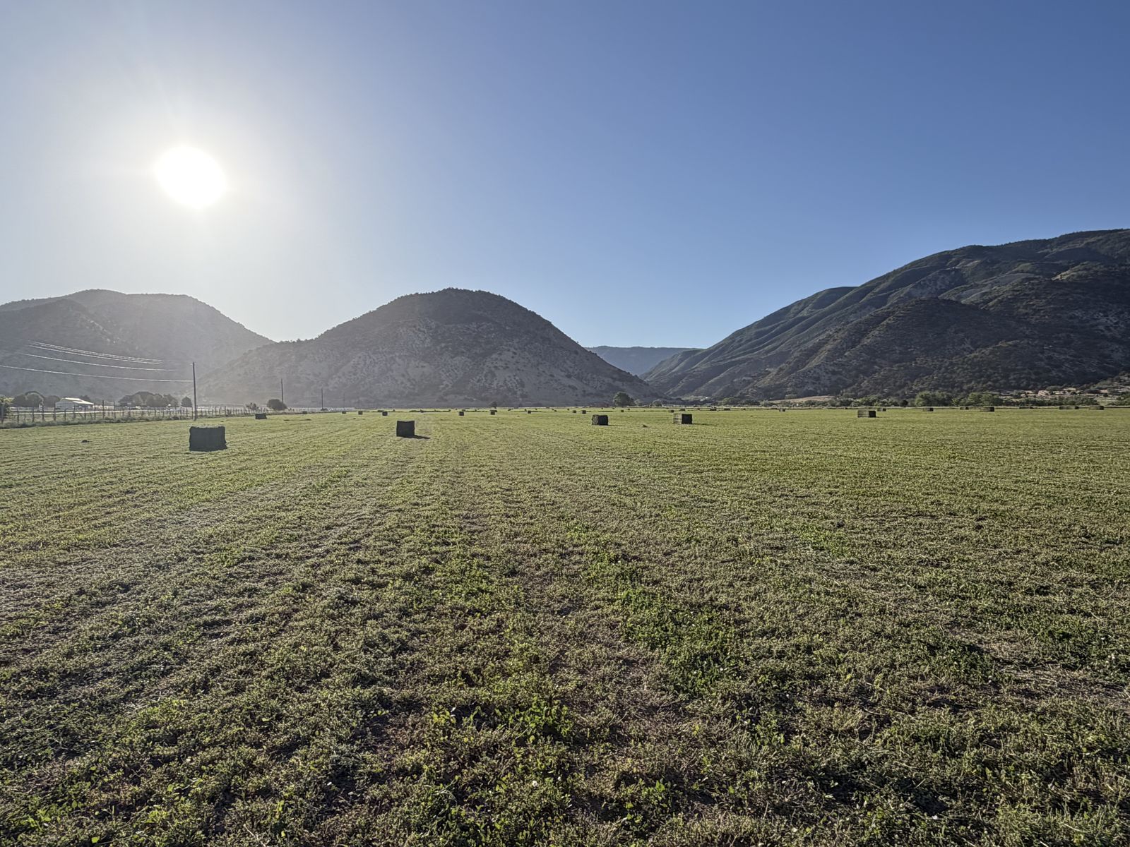Premium hay and 3 way taking orders for 2027