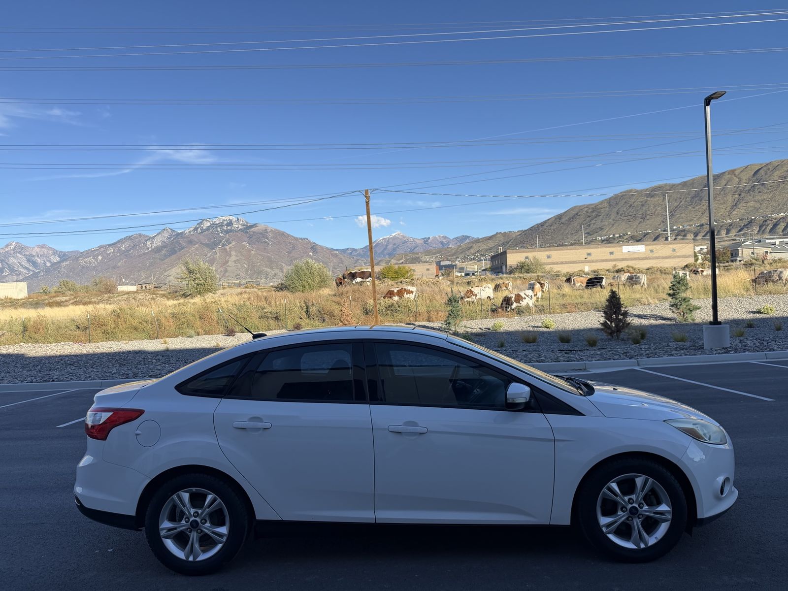 Ut. Call 2014 Ford Focus SE in Bluffdale, UT | KSL Cars