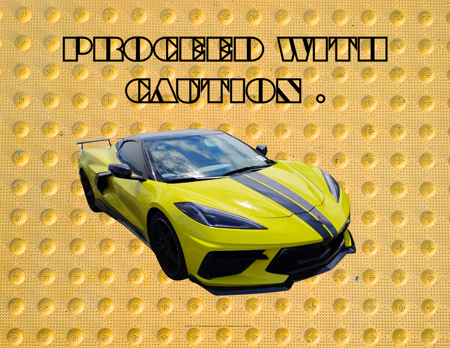 PROCEED WITH CAUTION  - Laminate Print