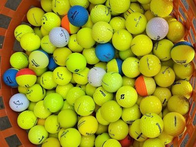 Tons of Golf Balls