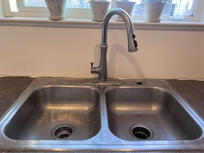 Stainless Double Basin Sink