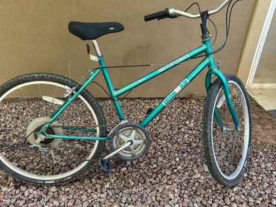 Bicycle adult/kid