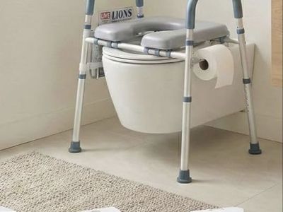 Toilet seat riser