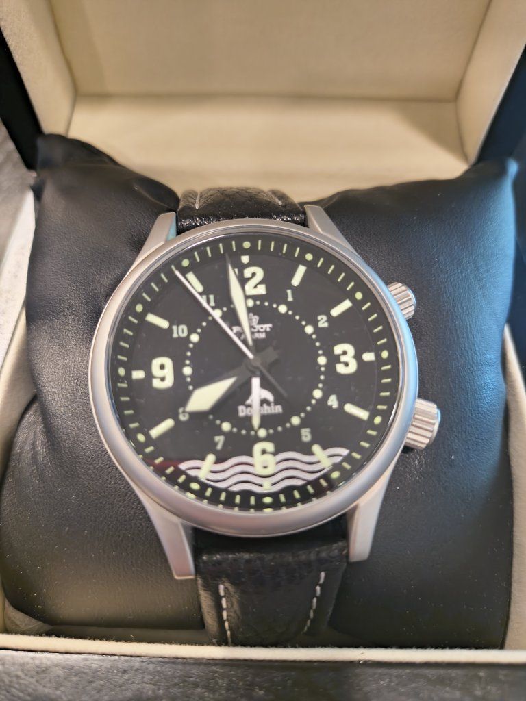Poljot Dolphin Chronograph Watch - Men's Black Leather Strap, Stainless Steel Case - Excellent Condition