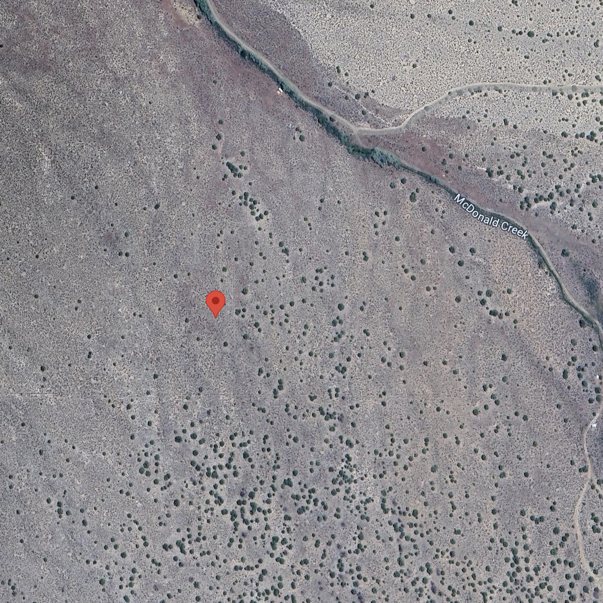 Main image 7