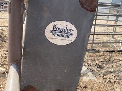 Hanging Feeders