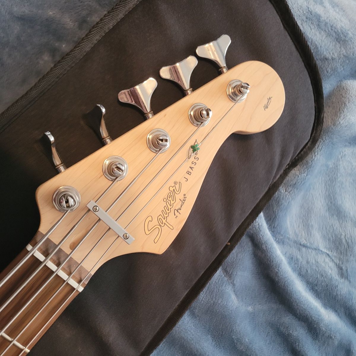 Squier J Bass - Black/green 5 String