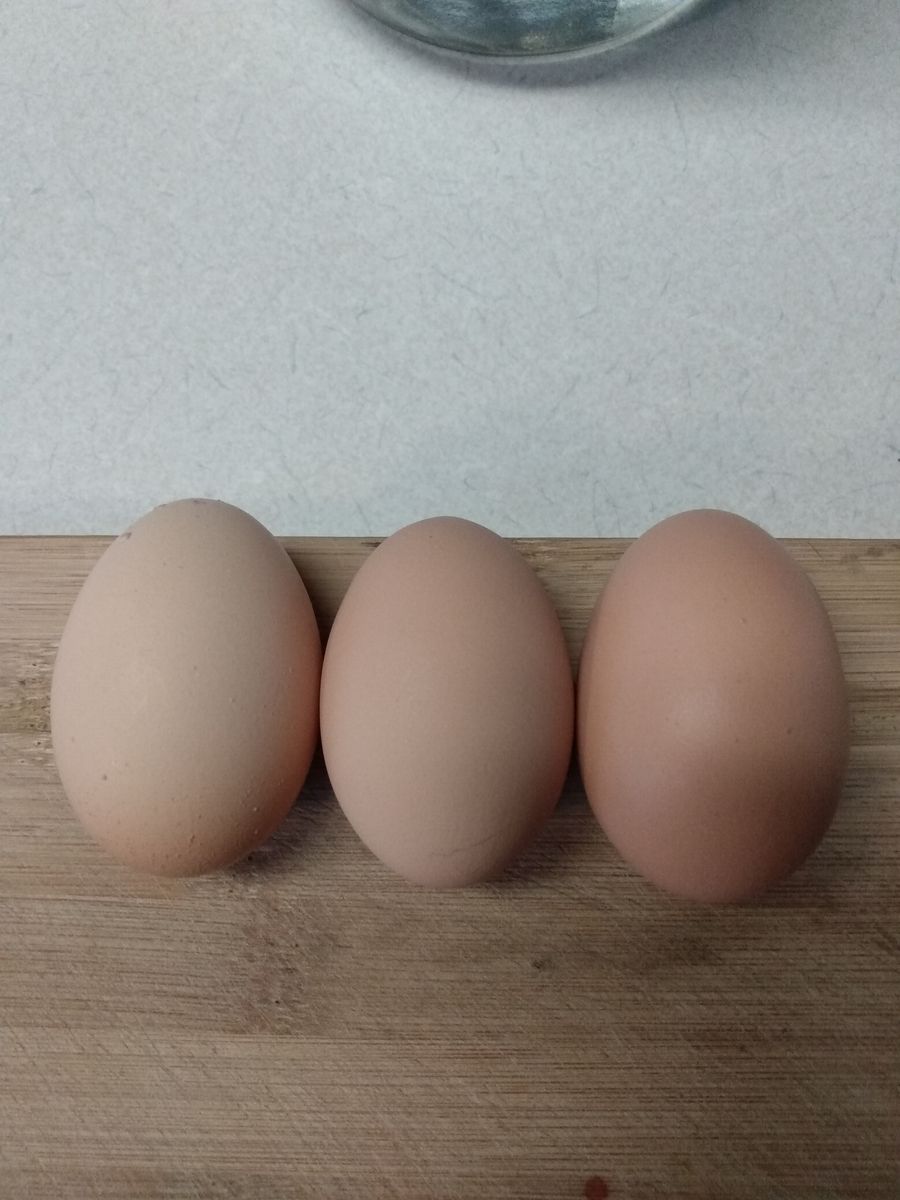 Great egg layers