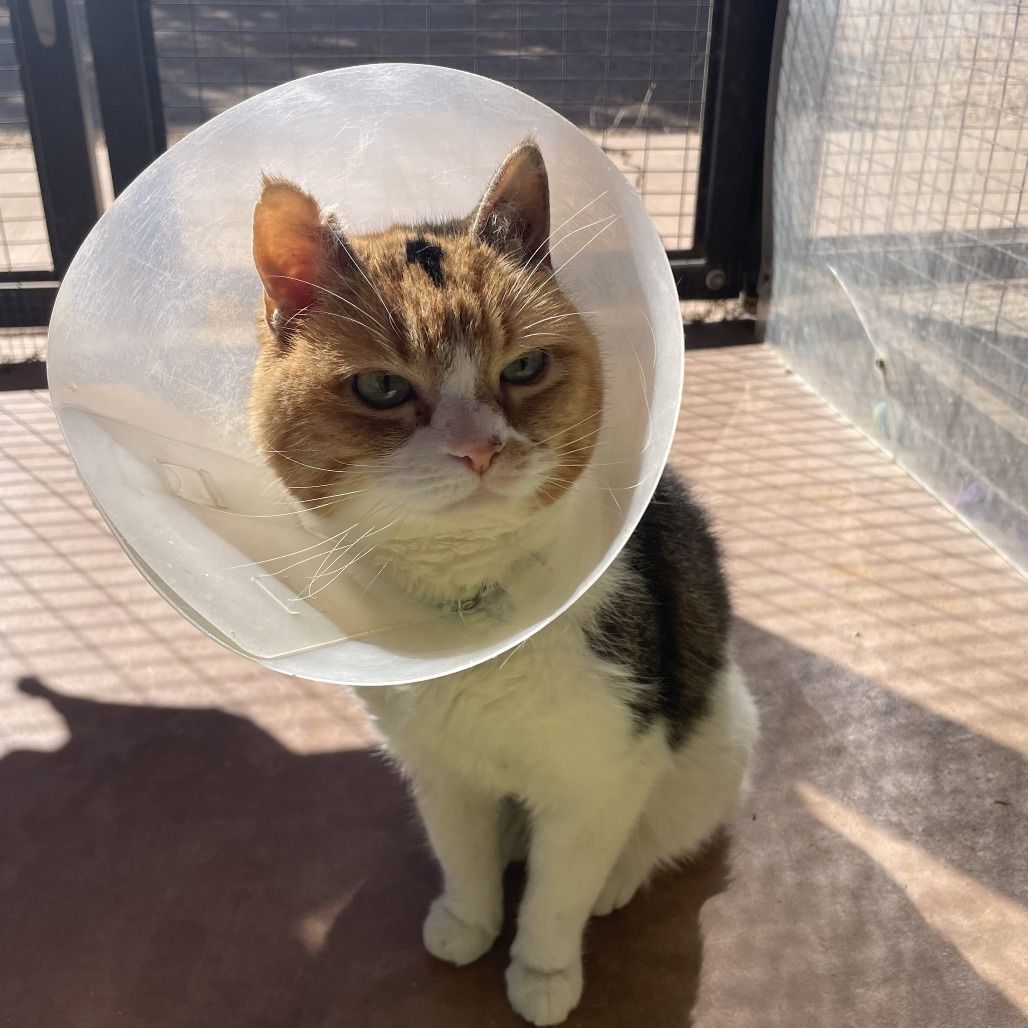 Main image 6