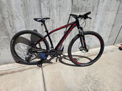 Specialized Rockhopper Size M 17.5