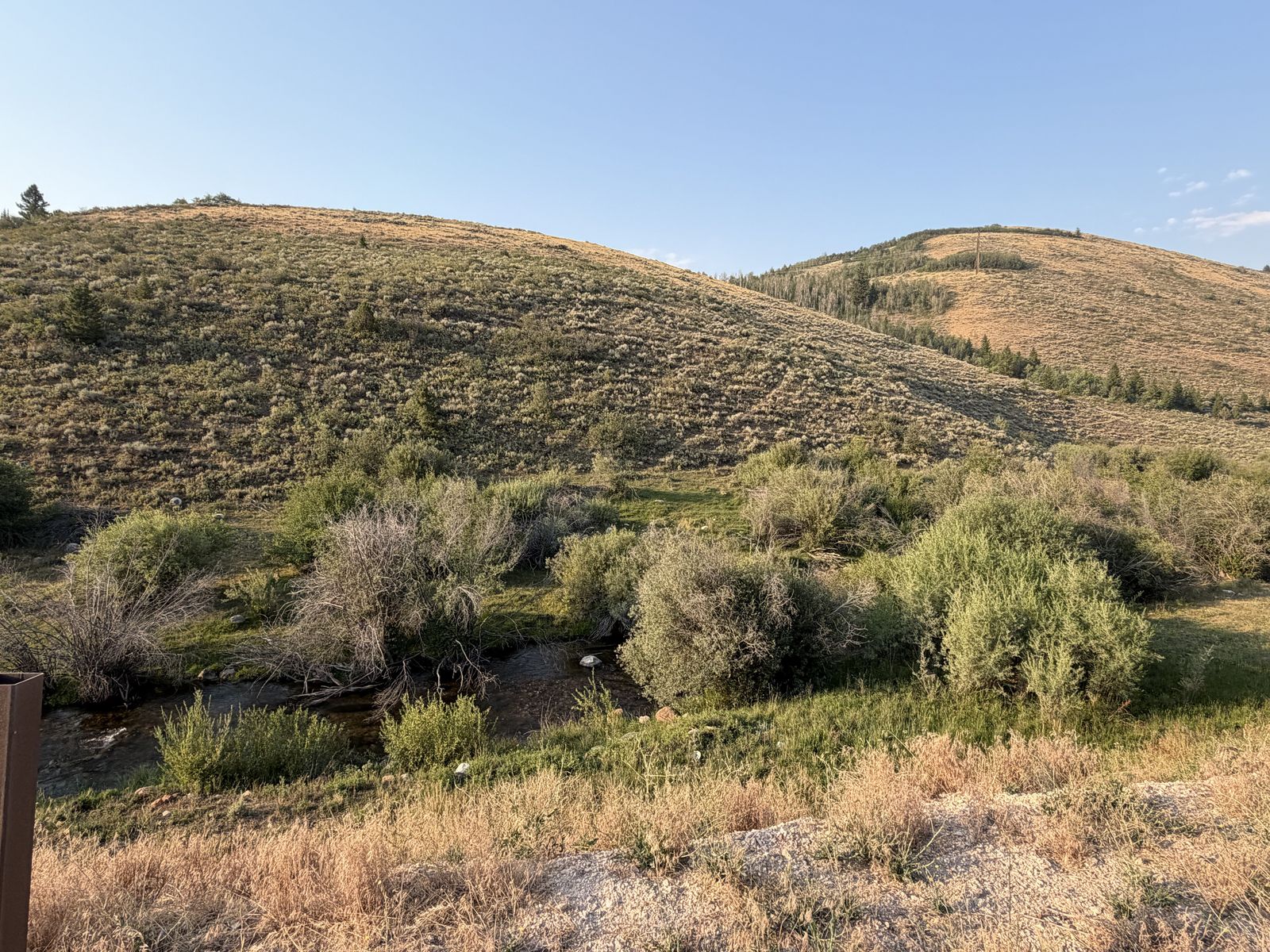Main image 6