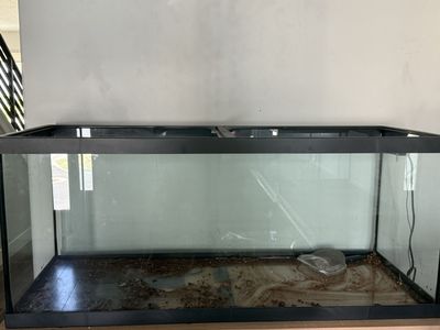 75 Gallon Reptile Tank + Accessories