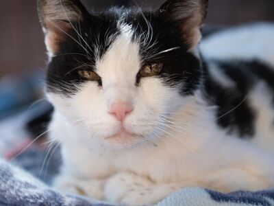 Hello my name is Elodie