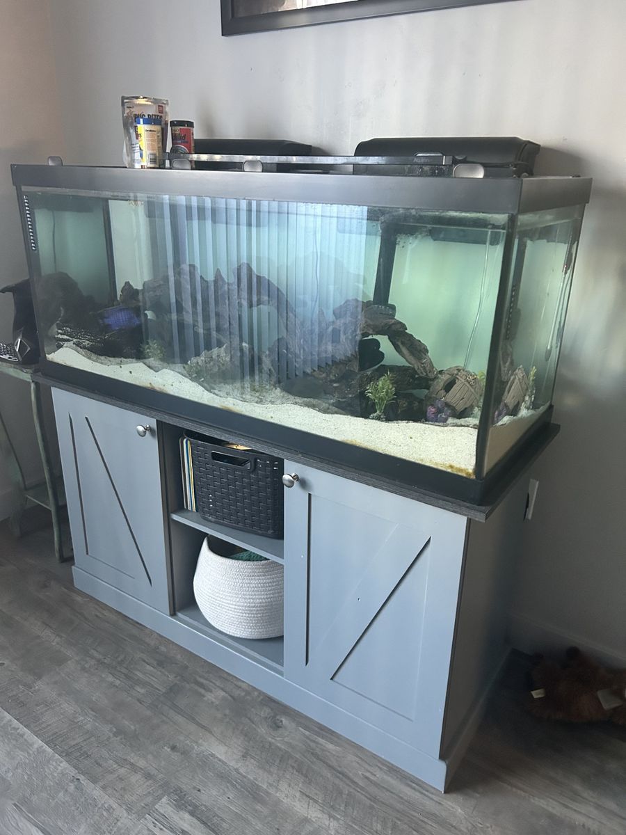 65 Gallon Tank & Stand with fish