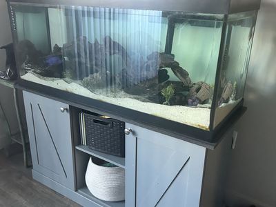65 Gallon Tank & Stand with fish