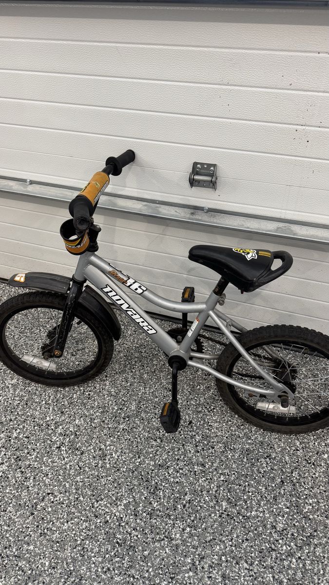 Novara Stinger Kids Bike 16”