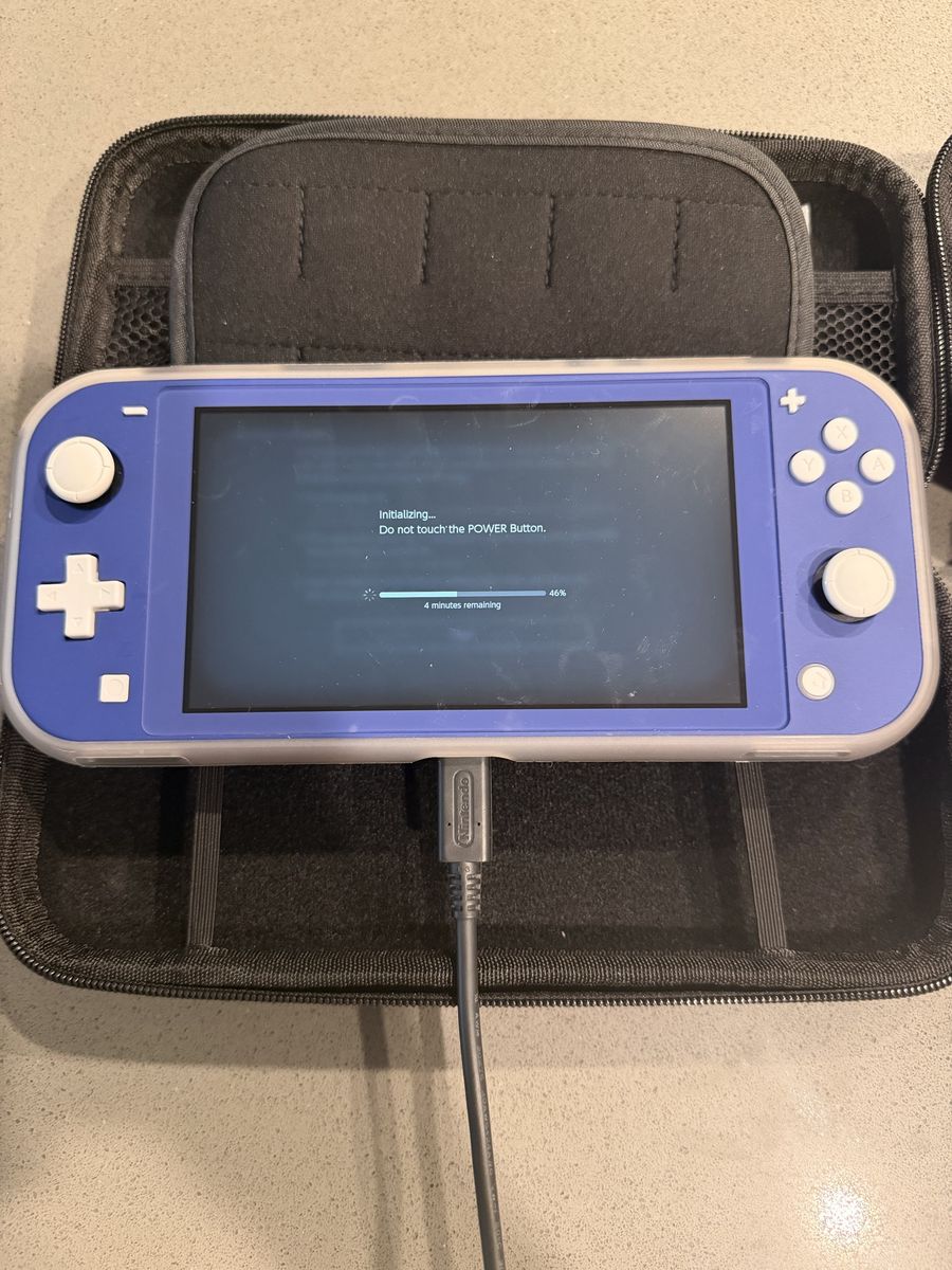 Nintendo Switch Lite Console Blue Handheld System with Clear Protective Case and Charger - Please Read