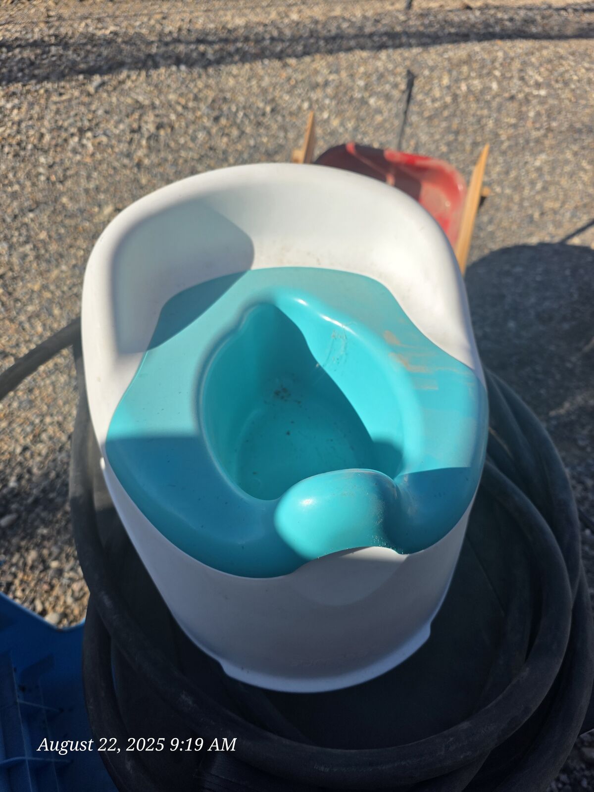 potty training chair