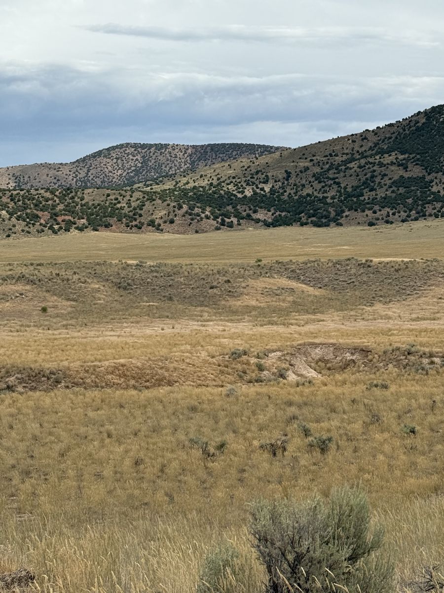 Main image 6