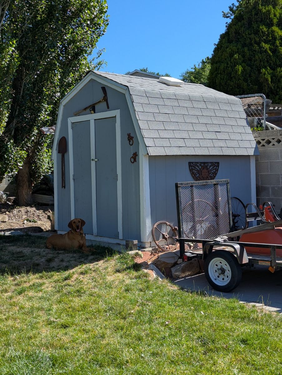 8 x 8 Shed, Free