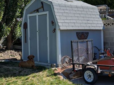 8 x 8 Shed, Free