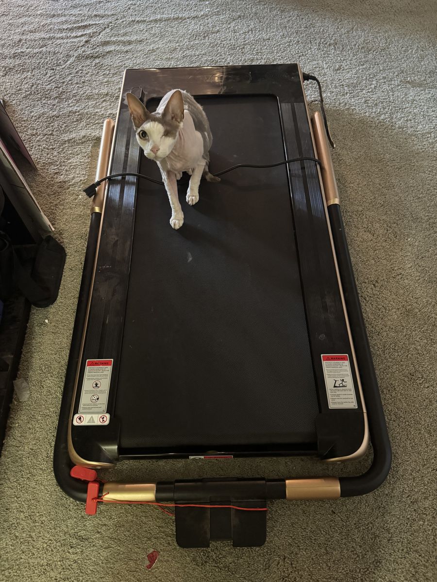 Superfit Foldable Treadmill (Make An Offer)