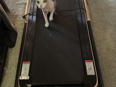 Superfit Foldable Treadmill (Make An Offer)