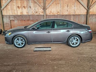 2013 Nissan Maxima 3.5 SV