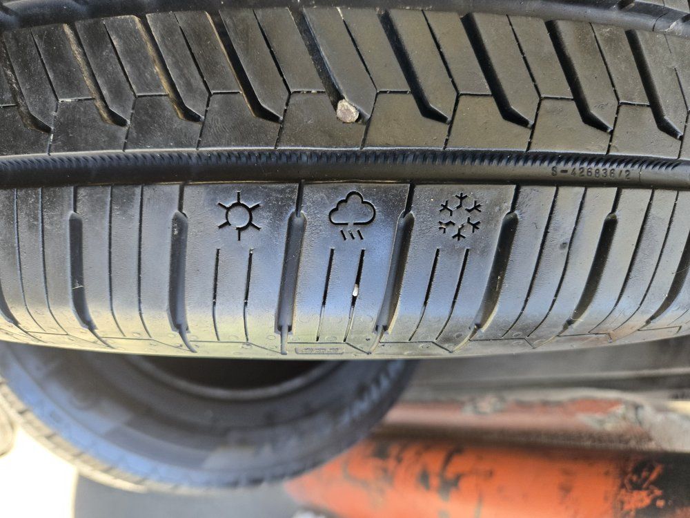Main image 4