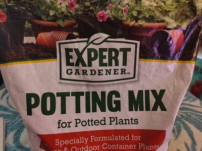 Potting Mix