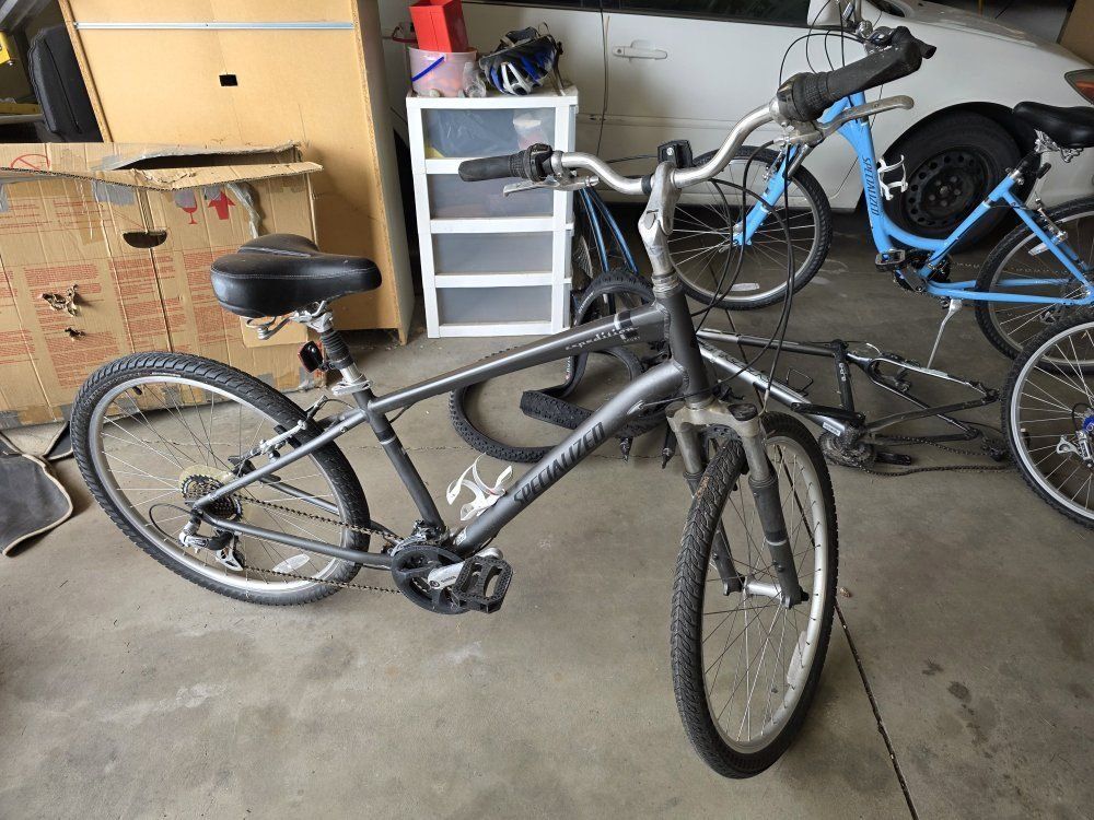 Gray Unisex Adult Bike