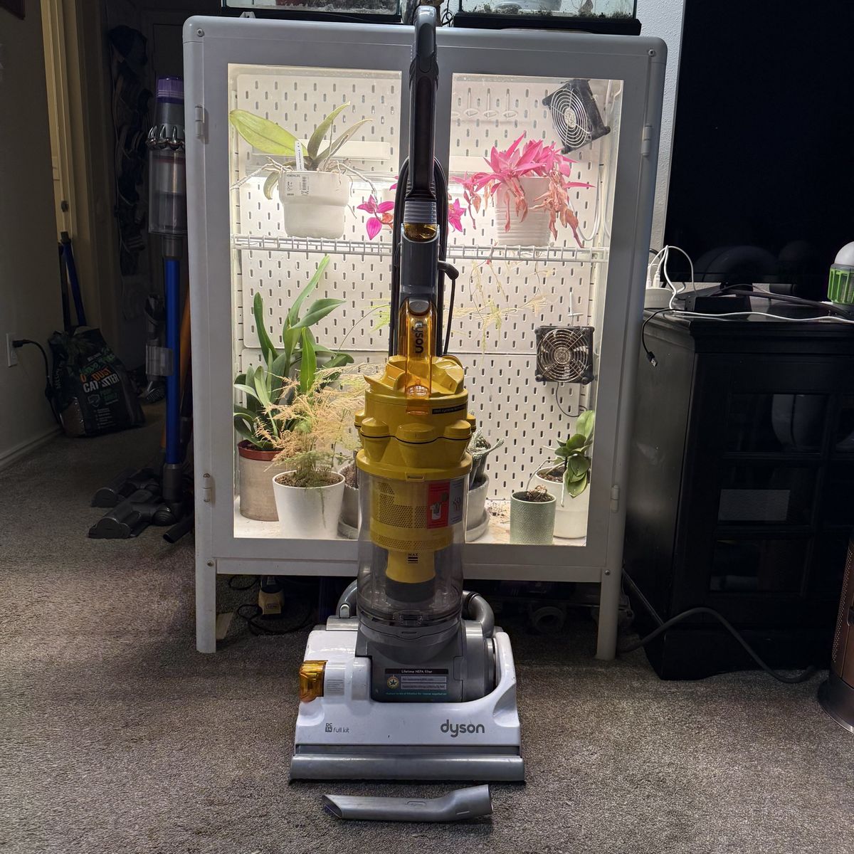 CLEAN Dyson dc14 full kit vacuum