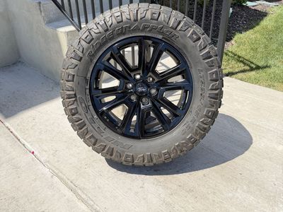 Ford F150 Rims and Tires 295/65R20 Nitto