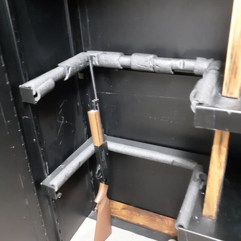 Gun and sport cabinet
