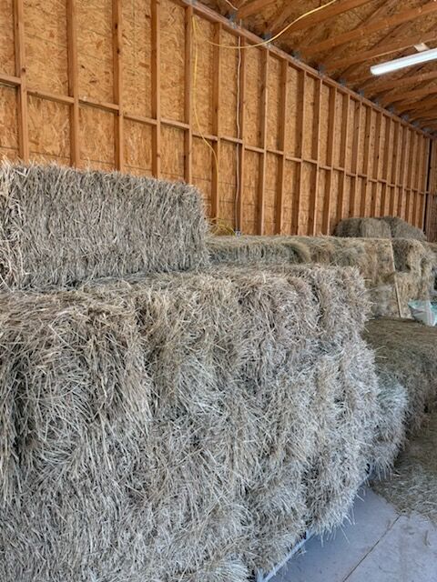 Grass hay $8 bale