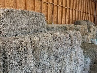 Grass hay $8 bale