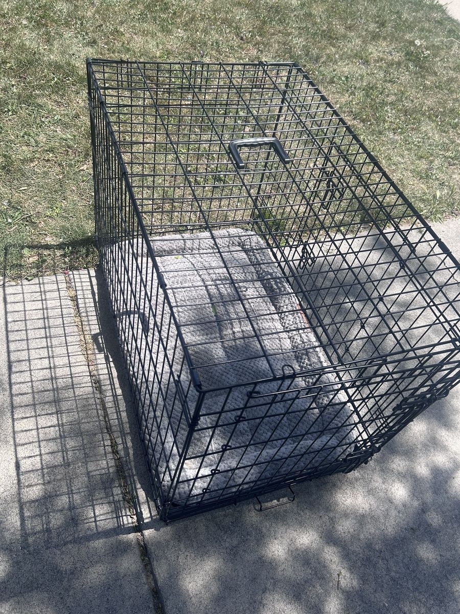 Kennel crate