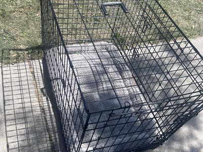 Kennel crate