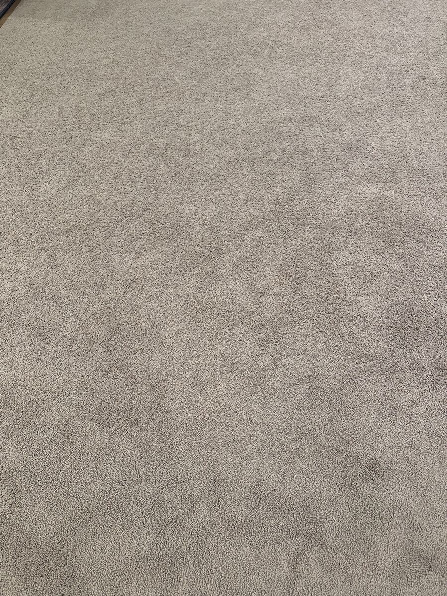 Gently Used Carpet - 1500+ SQ FT