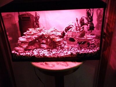 Ten Gallon Aquarium W/LED Lights, All The Goodies
