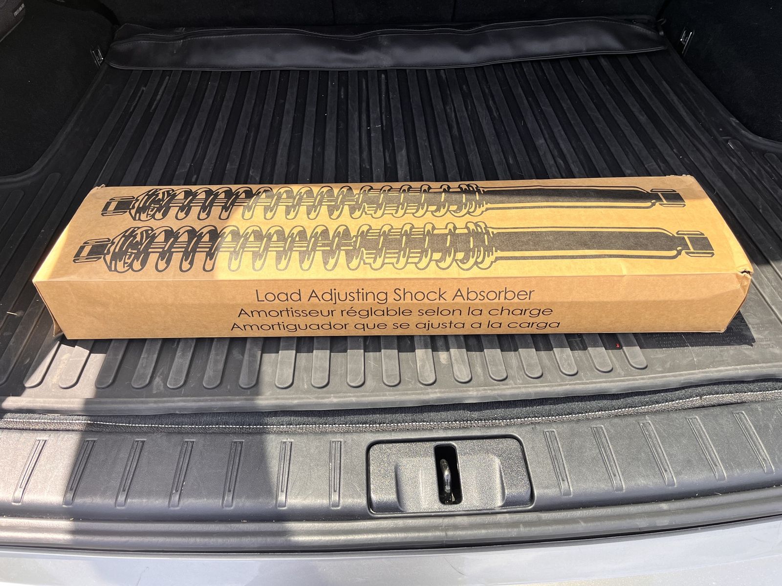 Two Monroe Load Absorbing Shock Absorbers