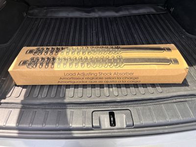 Two Monroe Load Absorbing Shock Absorbers