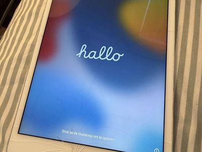 Apple iPad mini 4 (MK9P2LL/A) 128GB Wi-Fi - Cracked Screen