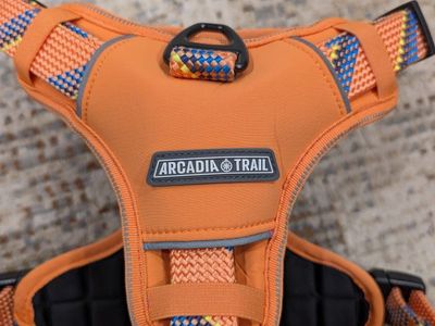 dog harness