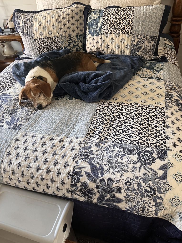 Bedspread And 2 Pillow Shams