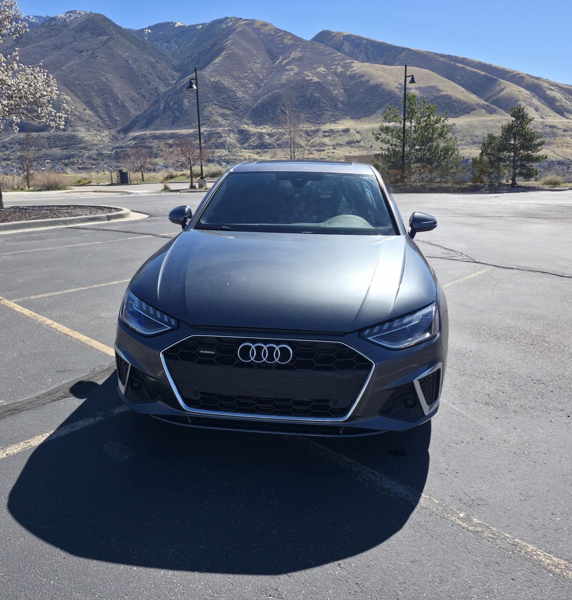 2024 Audi A4 quattro S line Prem Plus 45 TFSI