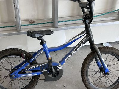 kids Bike Giant Animator