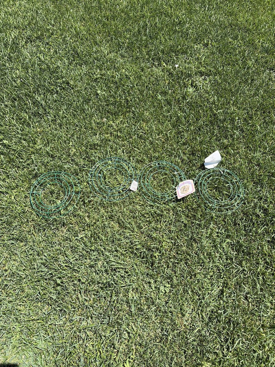Unused Green Wire Wreath Forms (Lot of 4) - Craft Supplies ($1each)