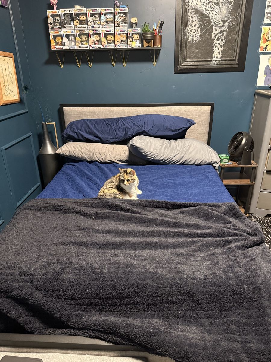 FULL size mattress and/or QUEEN size bed frame 