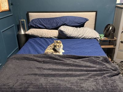 FULL size mattress and/or QUEEN size bed frame